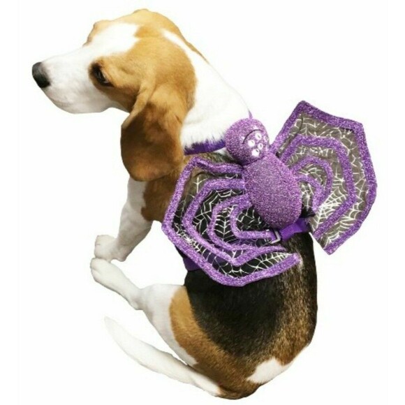 Detachable Purple Spider Dog Harness Halloween Costume  Size M  NWT - Picture 1 of 2